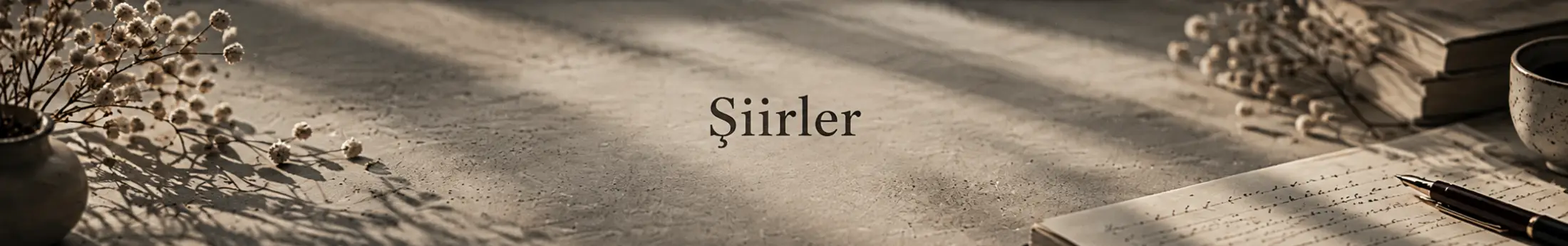 Şiirler ve şiir denemeleri